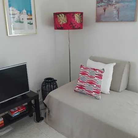 Turf 아파트 알보르